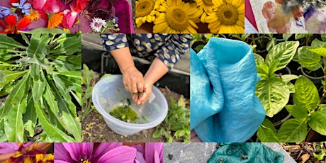 Fresh Leaf Indigo Dyeing primary image