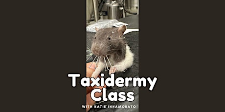 Taxidermy Class primary image