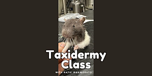 Taxidermy Class  primärbild