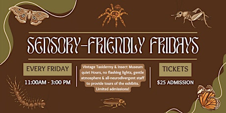 Sensory Friendly Friday