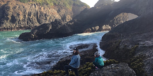 Summer Solstice Full Moon Seaweed Camp and Hot Tub primary image