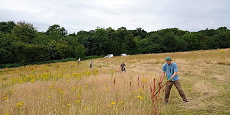 Learn To Scythe - 3 sessions available