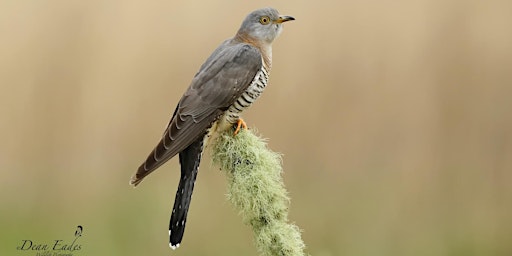 Great Fen Ecotour primary image