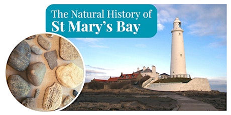 The Natural History of St Mary's Bay - Blyth Library primary image