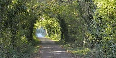 Red Squirrel Trail primary image