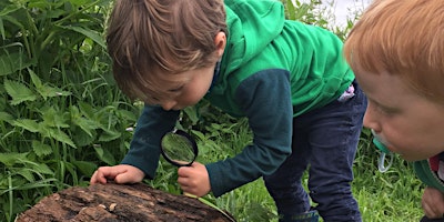 Nature Tots at Robinswood Hill primary image