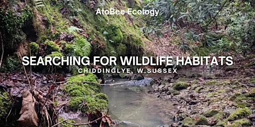 Imagen principal de Searching for Wildlife Habitats