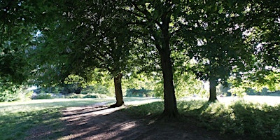 Tall Trees and Village Gems: Old Tilehurst guided tree trail primary image