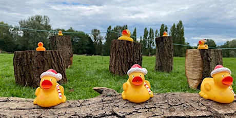 Duck antics at Kingsbury Water Park