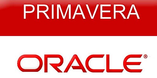 Primavera P6 Fundamentals Training Course (2 days) | Instructor Led Online primary image