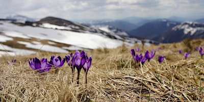 Image principale de Music for spring: Duruflé Requiem