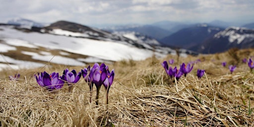 Music for spring: Duruflé Requiem primary image