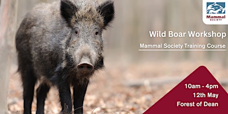 Wild Boar Workshop (In-person)