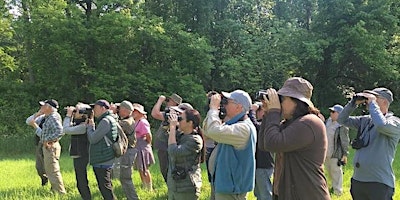 Small Group Birding: Mon, May 6, 7:00 am, Muscoot Farm