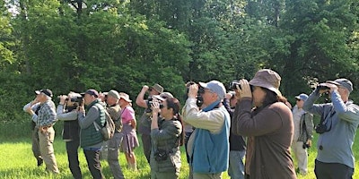 Small Group Birding: Mon, June 3, 7:00 am, Muscoot Farm