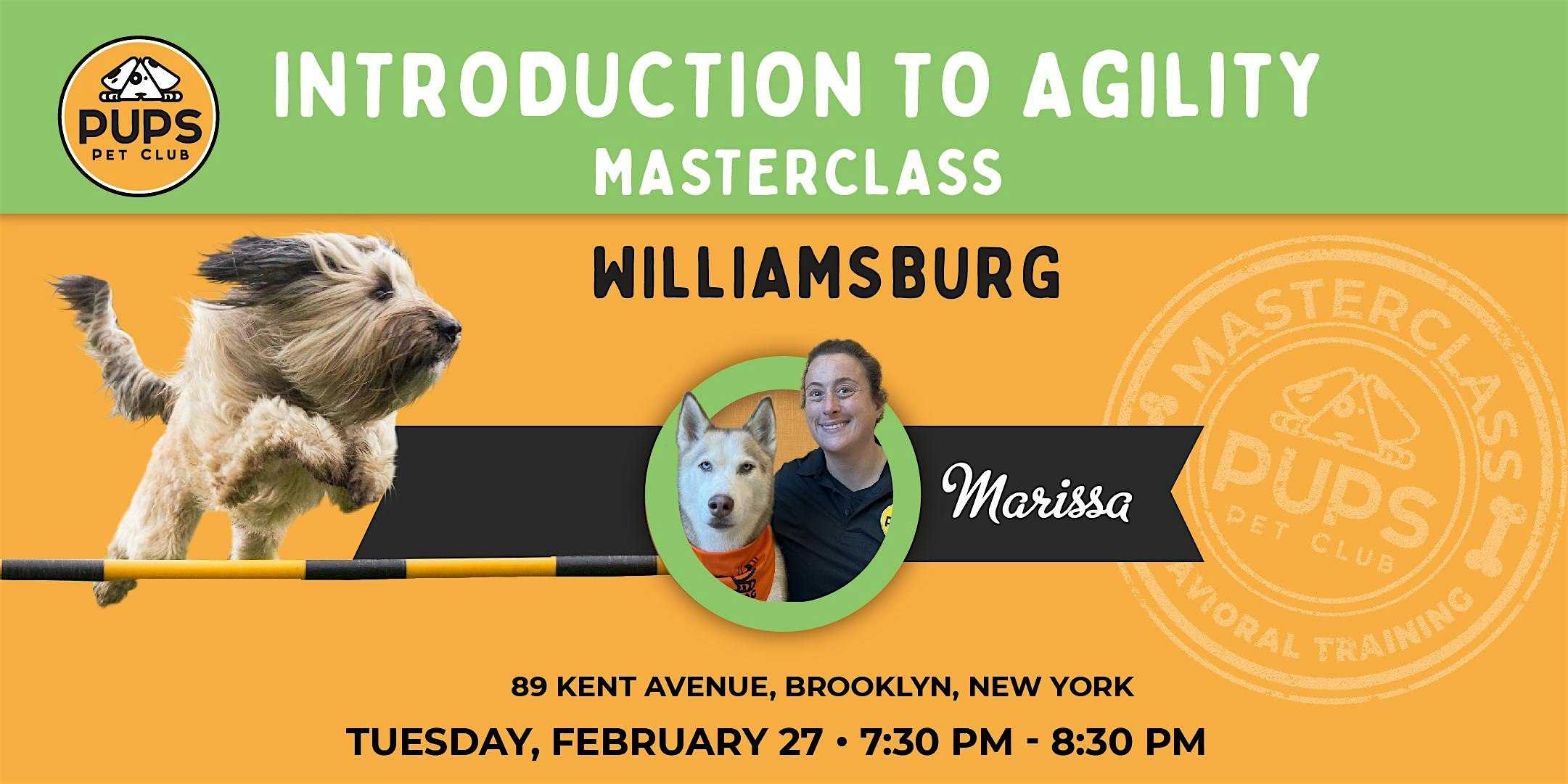 Introduction to Agility for Dogs – WILLIAMSBURG  27