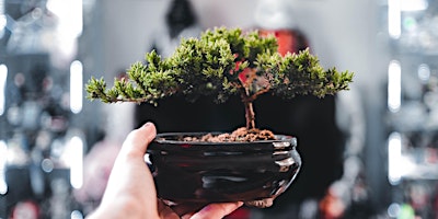 Imagem principal do evento Cherry Blossom Season Bonsai Workshop with PlantHouse