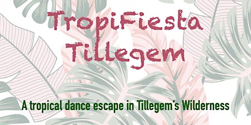 Primaire afbeelding van TropiFiesta Tillegem