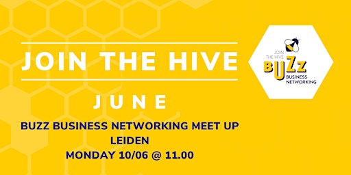 Imagem principal de June 2024 Buzz Business Networking Meet Up – Leiden