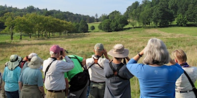 Small Group Birding: Sat June 29, 7:00 am, Rockefeller State Park Preserve