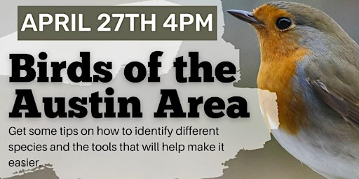 Imagem principal do evento Birds of the Austin Area (Adult Program)