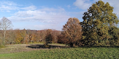 Primaire afbeelding van West of Reading Green and Blue Walk