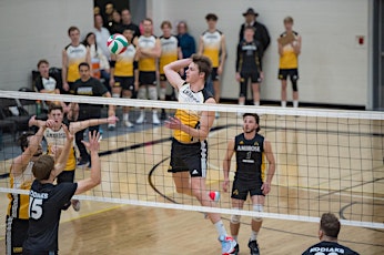 BOYS Volleyball -Camp 2   Grades 8-11  July 29 - Aug.1st  2:00-5:00pm  $225 primary image