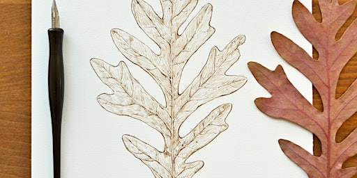 Imagem principal de Drawing with Botanical Ink