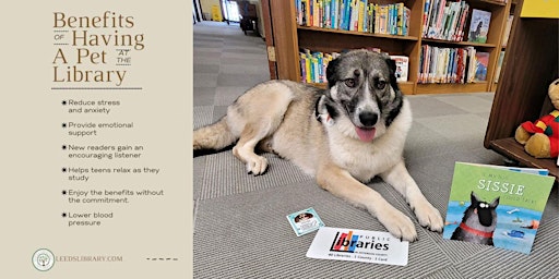 Hauptbild für Sensory Bins & Sisie - Calming Activities with a Certified Therapy Dog