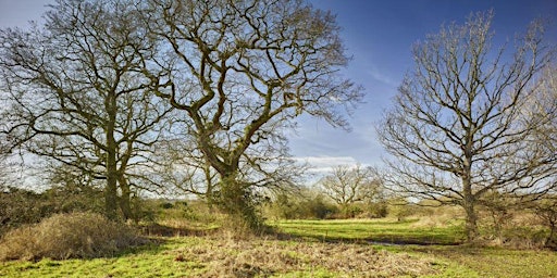 NWT Sweet Briar Marshes: Walk with the warden primary image