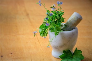 Imagem principal de Herbal Medicine Making Spring Series: Herbal Tea Formulation w/Dr. Ashley