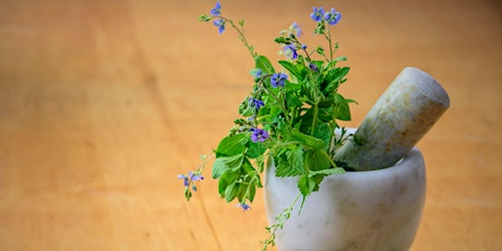 Herbal Medicine Making Spring Series: Infused Oils w/Dr. Ashley