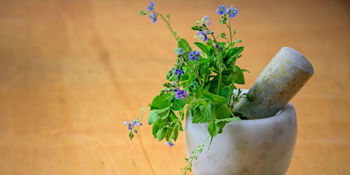 Primaire afbeelding van Herbal Medicine Making Spring Series: Infused Oils w/Dr. Ashley