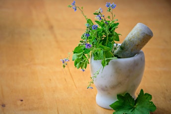 Herbal Medicine Making Spring Series: Herbal Tinctures w/Dr. Ashley