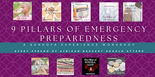 Imagen principal de 9 Pillars of Emergency Preparedness Hosted By Black Sustainability, Inc