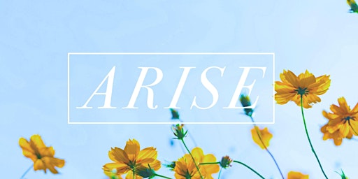 ARISE Conference primary image