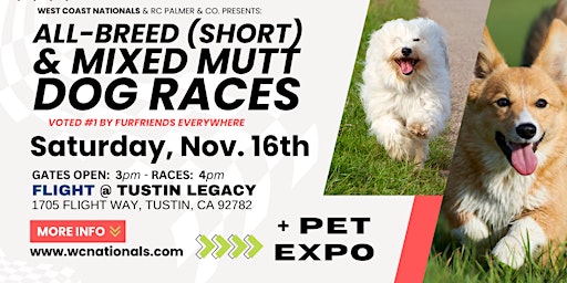 Image principale de All-Breed (short) & Mixed Dog Races | WC Nationals TM