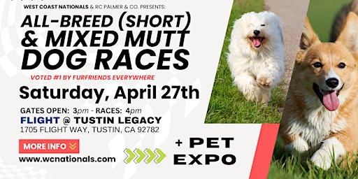Primaire afbeelding van All-Breed (short) & Mixed Dog Races | WC Nationals TM
