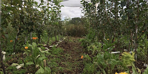 Oakbrook Farm Agroforestry Tour primary image