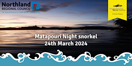 Imagen principal de Matapouri Night Snorkel