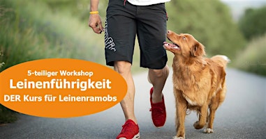 Immagine principale di 5-teiliger Workshop Leinenführigkeit 