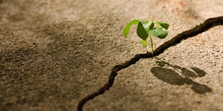 Deepen Your Resilience with the Social Resilience Model (05-22-24)IN PERSON