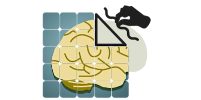 Hauptbild für Brain Architecture Game (06-26-24) IN PERSON