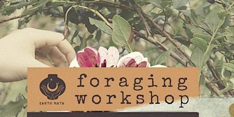 Beginners Foraging Taster Workshop