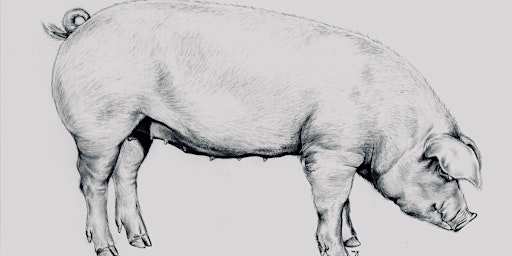 Imagem principal de Whole Hog Butchery Workshop