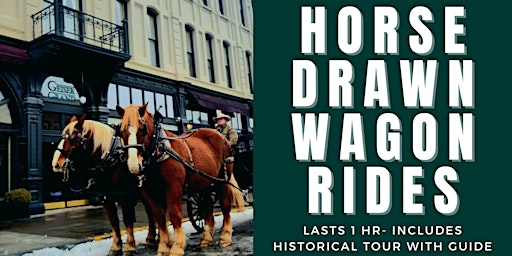 Primaire afbeelding van Horse Drawn Wagon Ride-Historical Tour 1 HR