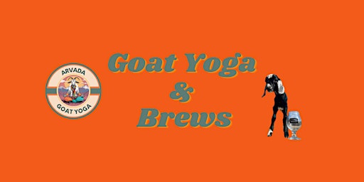 Goat Yoga & Brews  primärbild