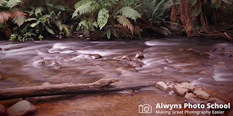 Rivers/Redwoods & Rain-Forests-Landscape Photography Course 2 (Warburton)