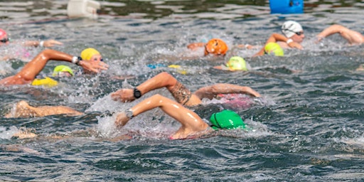 Imagem principal do evento Insel-Ligerz-Schwimmen - 10. August 2024