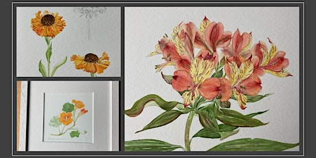Summer Botanicals: Watercolours & Illustration Workshop - An Introduction